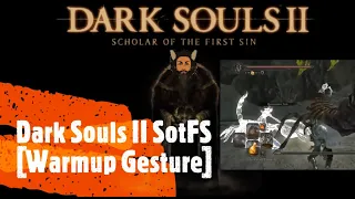 Dark Souls II SotFS [Warmup Gesture]