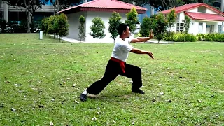 Hung Gar Form Routines: Cross Fist & Iron Bridge Fist 洪拳: 十字拳 铁桥拳 (新加坡)