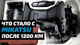 Что стало с Mikatsu, после 1200 километров экспедиции?