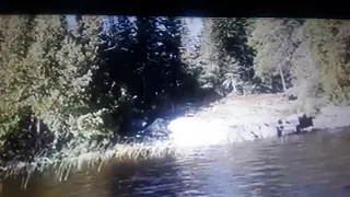 BIGFOOT ONTARIO CANADA NEW VIDEO 2024