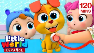 Bingo Visita Al Veterinario | Canciones Infantiles | Little World En Español