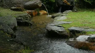 rain sound on the beautiful garden, small stream