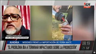 🧉 MISIONES FRENÓ LA IMPORTACIÓN DE YERBA MATE: ¿Qué pasó?