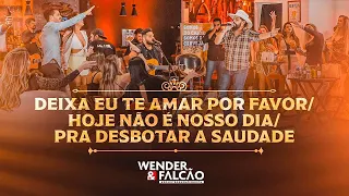 Wender e Falcão -Deixa eu Te Amar Por Favor/ Hoje Não é Nosso Dia/ Pra Desbotar a Saudade