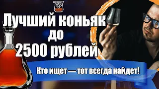 Лучший коньяк до 2500 рублей. Топ коньяков