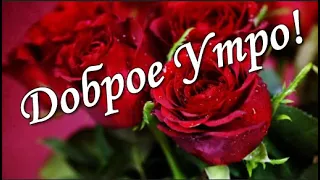 С Добрым  утром! Солнечного настроения, удачи и везения! Хорошего дня!