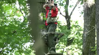 How to shoot at a deer from a tree stand