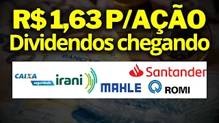 Carteira de dividendos novos aportes IRANI RANI3, LEVE3, CXSE3, ROMI3, SANB3, AÇÕES PARA DIVIDENDOS