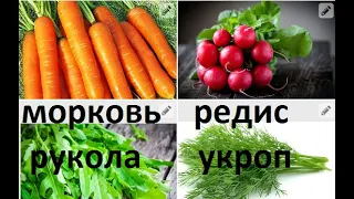 Как посадить морковь, редис, петрушку ,руколу, укроп, горох спаржевый в природном земледелии.