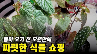 봄맞이 인터넷 식물 택배 쇼핑!!