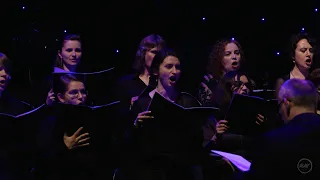 A Gifted Man Brings Gifts Galore - The Witcher 3 | Live Orchestral Performance in Krakow 2016 [4K]