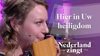 Hier in uw heiligdom - Nederland Zingt