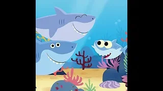 Pinkfong - Baby Shark