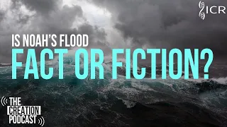 Is There Evidence for a Global Flood? | The Creation Podcast: Episode 15