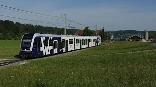 WSB Aarau-Menziken (2)