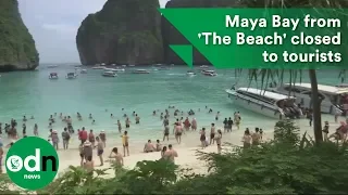 Maya Bay made famous by 'The Beach' closed to tourists