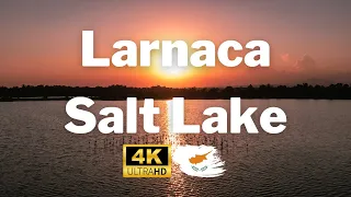 Cyprus from Above: Stunning 4K Drone Footage of Larnaca Salt Lake 🦩🇨🇾