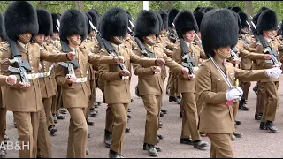 On The Mall Trooping the Colour Khaki Rehearsal Heading to Buckingham Palace