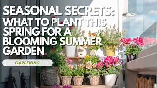 Seasonal Secrets: What to Plant This Spring for a Blooming Summer Garden