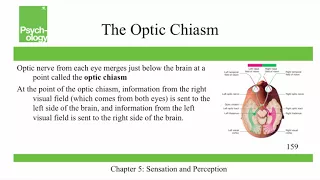 Openstax Psychology - Ch5 - Sensation and Perception