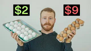 Do expensive Eggs actually taste better?