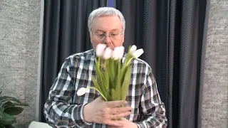 Длительное хранение тюльпанов. А.М. Быков