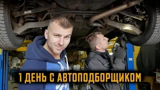 Один день с автоподборщиком | Автоподбор Киев