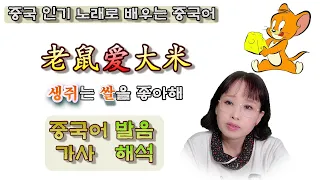 [인기 중국노래로 배우는 중국어]老鼠爱大米 생쥐는 쌀을 좋아해. #가사해석 #노래방자막 #중국인기곡