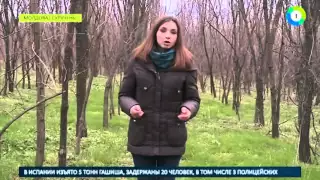 Молдавские леса защитят от вырубки