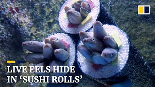 Japanese aquarium’s spring festival installation turns eels into ‘sushi rolls’