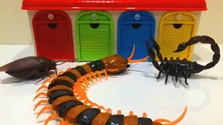 Tayo the little bus & super Thomas Gigantic Insect Toy Monster Funny Story Thomas, Chuggington, Cars