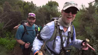 Moving Mountains for Multiple Myeloma: Kilimanjaro 2016 Documentary (30 sec trailer no. 1)