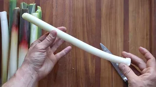 How to Trim Cattails for Cooking