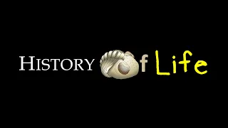 History of Life project - film montage (2019)