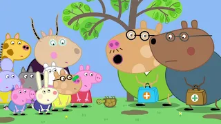 🐽 Peppa Pig 🐷 12 hour video | Non-Stop Cartoons | Streamed Feb 04, 2024