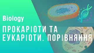 Прокаріоти та еукаріоти. Порівняння