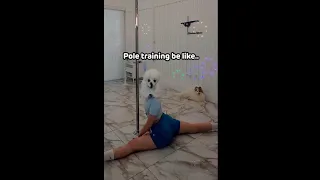 Pole training be like..