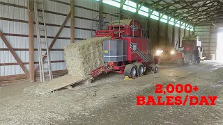 Our Farm's 80,000 Bale Processing System: In-depth Look