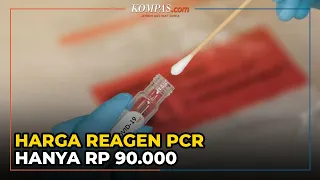 Dirut Bio Farma: Tes PCR Bisa Rp 275.000 karena Harga Reagen Hanya Rp 90.000