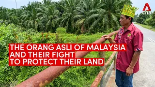 The Orang Asli's fight to protect their land