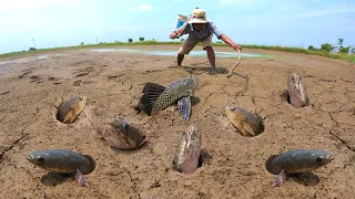 Best unique fishing - catch a lots of fish in underground when dry water by hand a fisherman