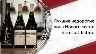 Лучшие недорогие вина Нового Света: Brancott Estate