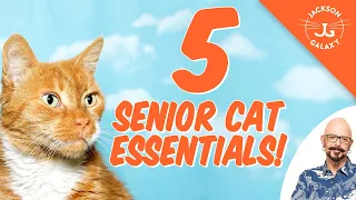 5 Senior Cat Essentials!