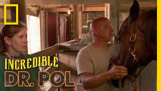 Getting Up Close and Personal | The Incredible Dr. Pol