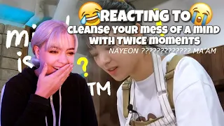 cleanse your mess of a mind with TWICE moments [REACTION]