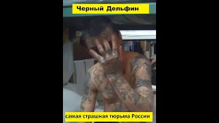 Черный Дельфин — самая страшная тюрьма России