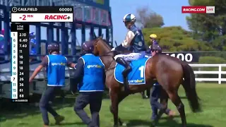 🔥HAYASUGI (AUS)🔥 - 2024 Blue Diamond Prelude F (2YO OPEN SW G2 F) Group 2 Caulfield 10 February