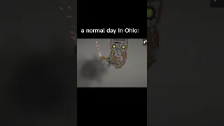 a normal day in ohio #ohio #fyp #shorts #memes