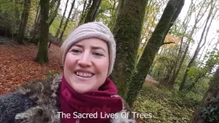 The Sacred Trees are coming...