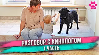 Темперамент у собак - это загадка? Как работает нервная система у собак? Что за порода Муди? [1/4]